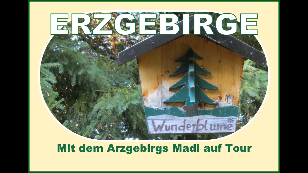 Die Wunderblume in Gottesgab - Boží Dar am Gottesgaber Spitzberg