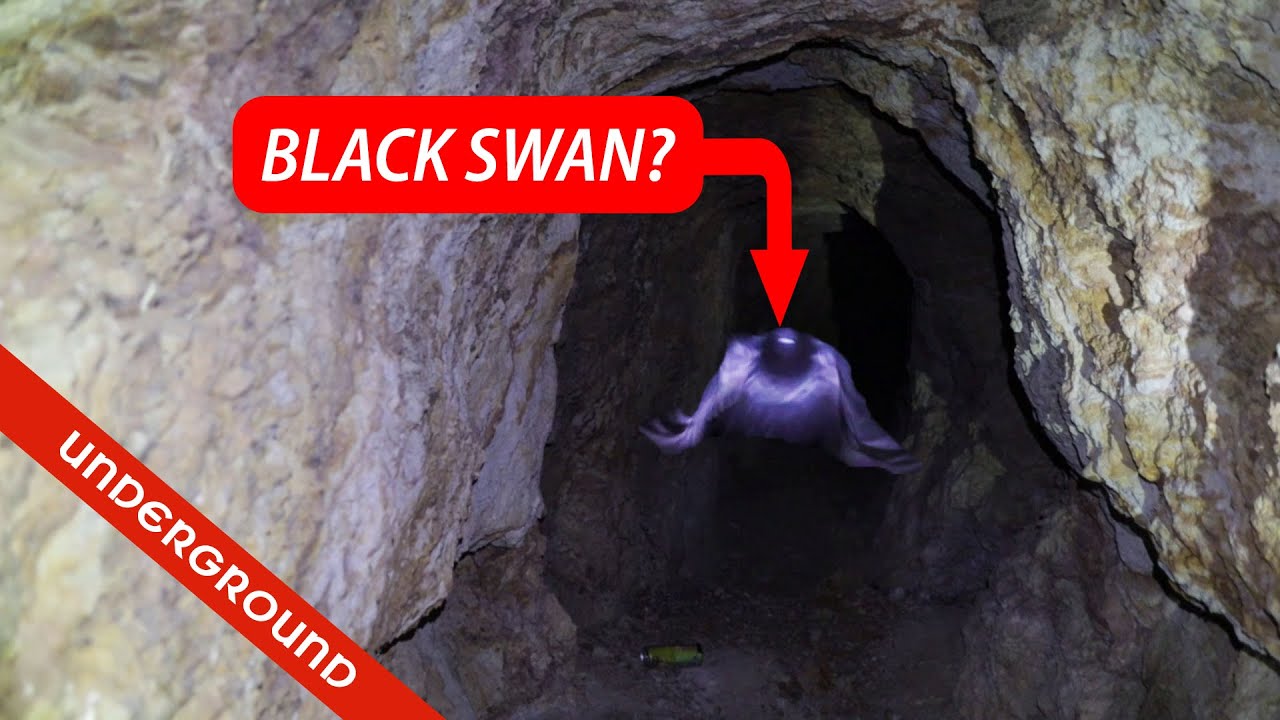 Underground tour of the Black Swan Mine- Virtue District