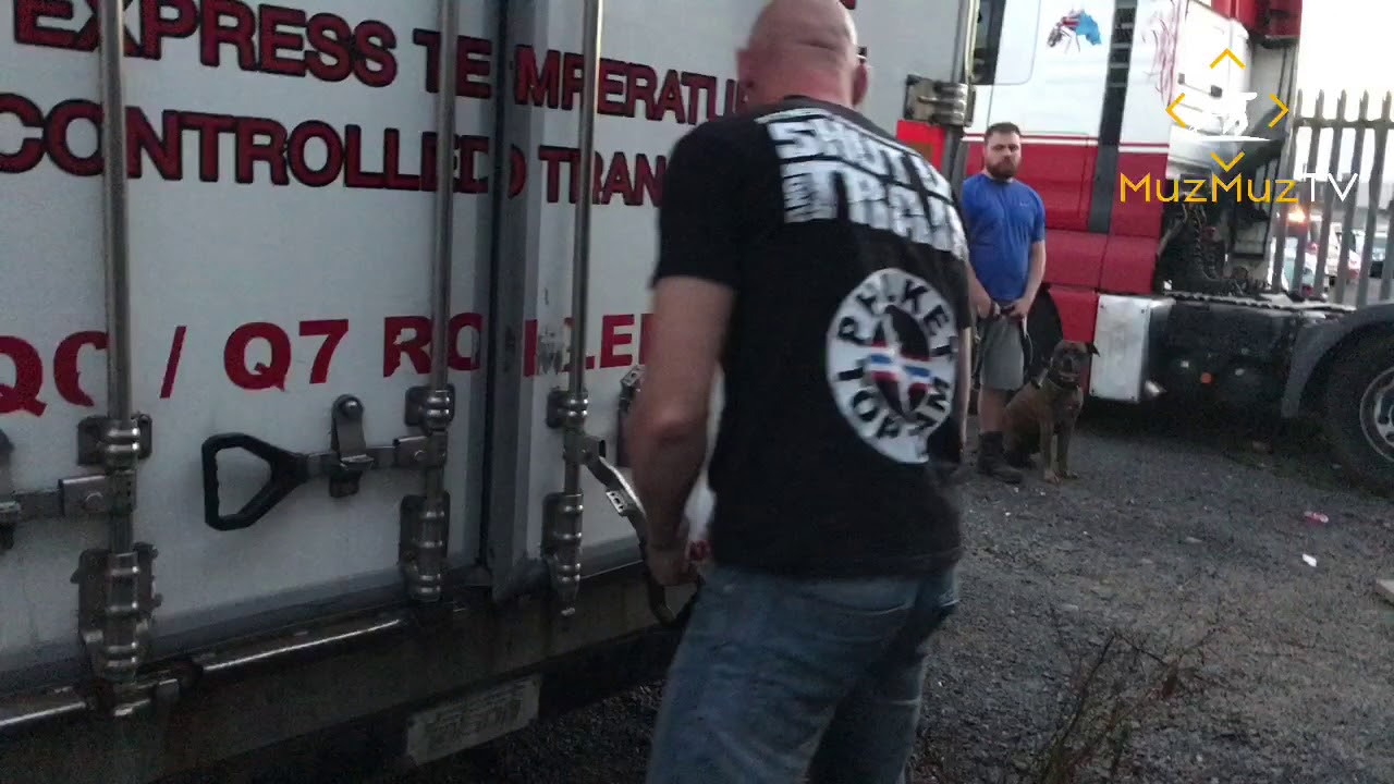 AVD.e.v Security Dog Trial