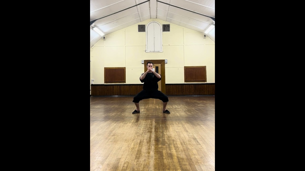 Horse Stance Training – Funakoshi Karate Hojo Undō (Conditioning Methods to Strengthen the Body)