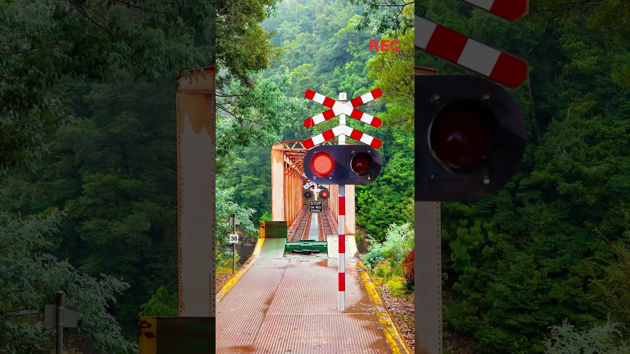 Railroad Crossing Running Over Bridge #Shorts