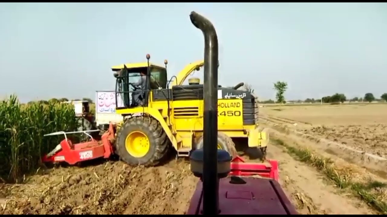Mian Mubashir Agri and Dairy Farm