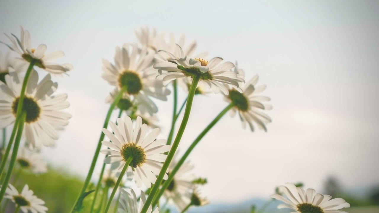 바람의 공명