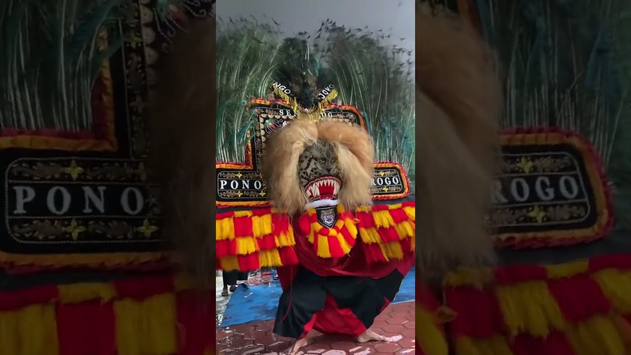 Dadak Merak Reog Ponorogo Kepala Barongan‼️MACAN TUTUL #ponorogoupdate #reogponorogo #shortvideo