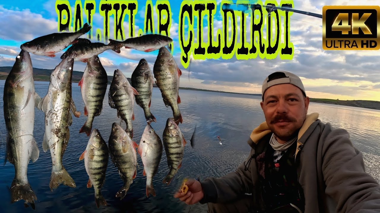 Trakya’da Balık Avı Macerası 🐟 Sudak ve Tatlı Su Levreği