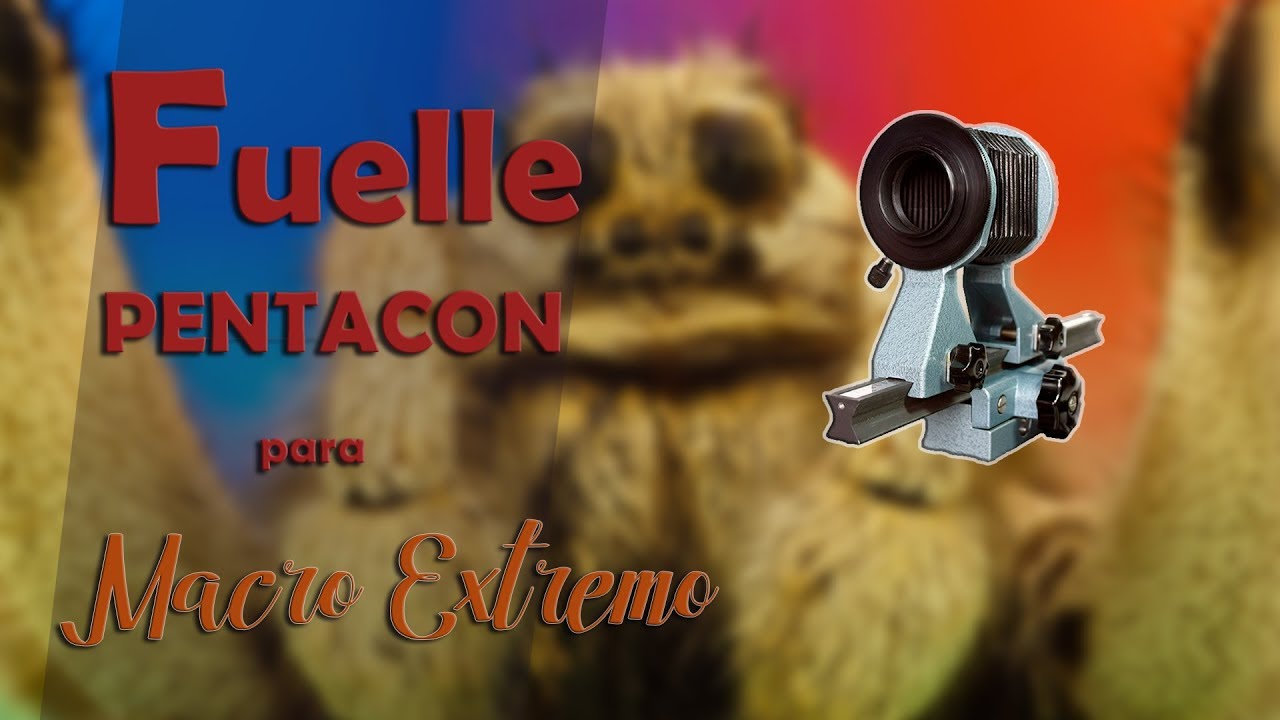 Fuelle Pentacon para MACRO EXTREMO