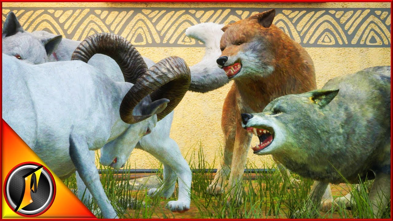 Hunting Wolves for the New Multimount!