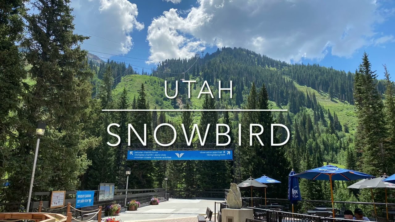 Summer in Snowbird, Utah - aerial tram and ski lift videos