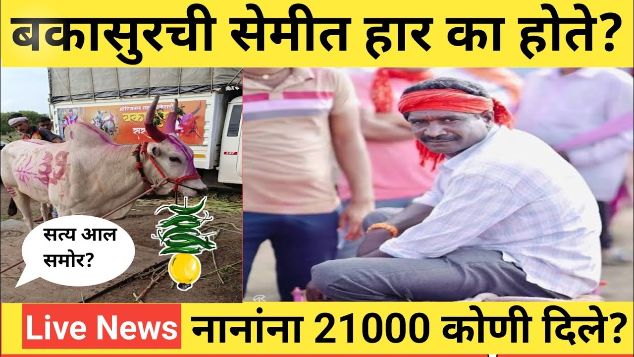पुजारवाडी मैदानात कोण झाला 1 लाख मानकरी?💥 Live bailgada share rate today
