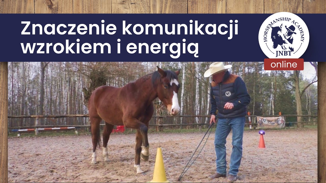 JNBT o znaczeniu komunikacji wzrokiem, energią i głosem w jeździectwie