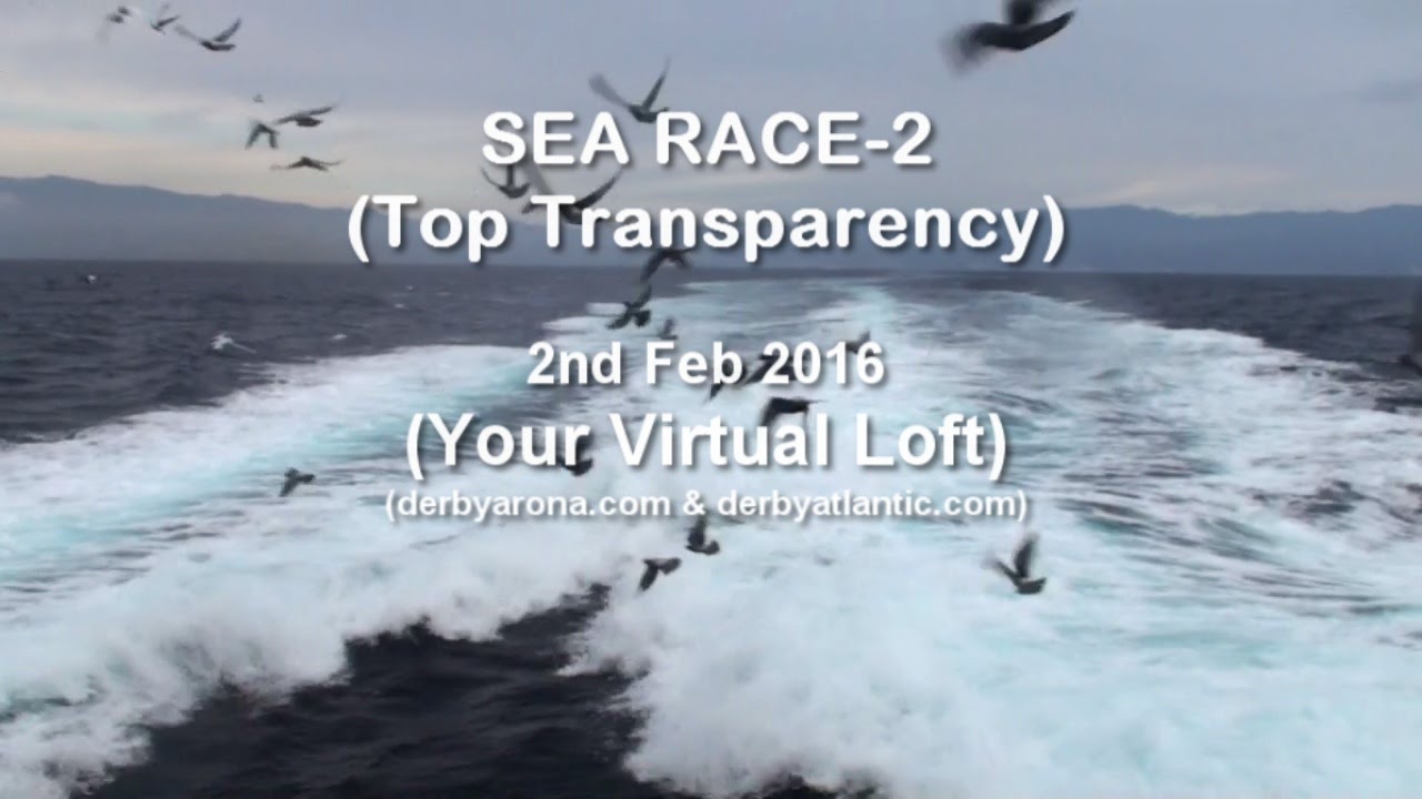 Sea Race-2 Derby ARONA-TENERIFE 2016