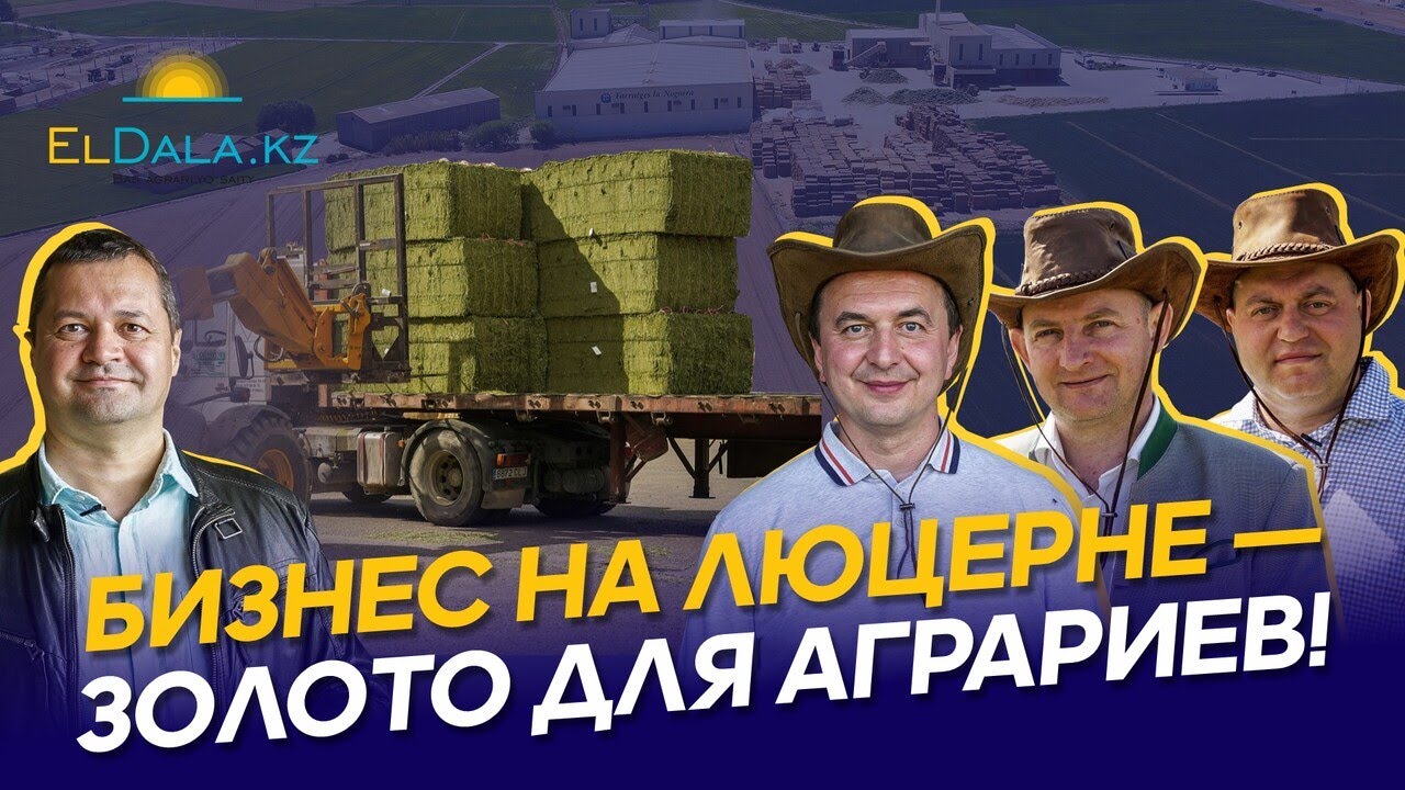 Как зарабатывать на люцерне в Казахстане: себестоимость, оборудование, технология и сбыт | APEHF