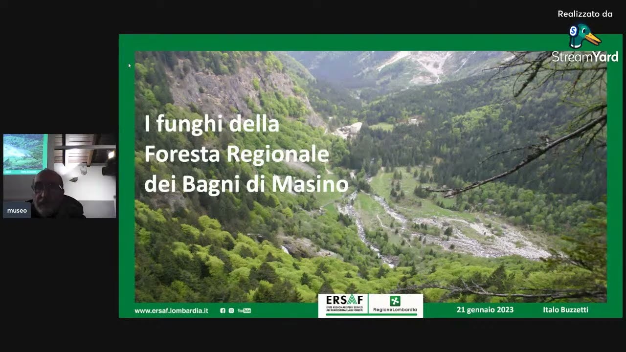 I funghi della Foresta Regionale dei Bagni di Masino