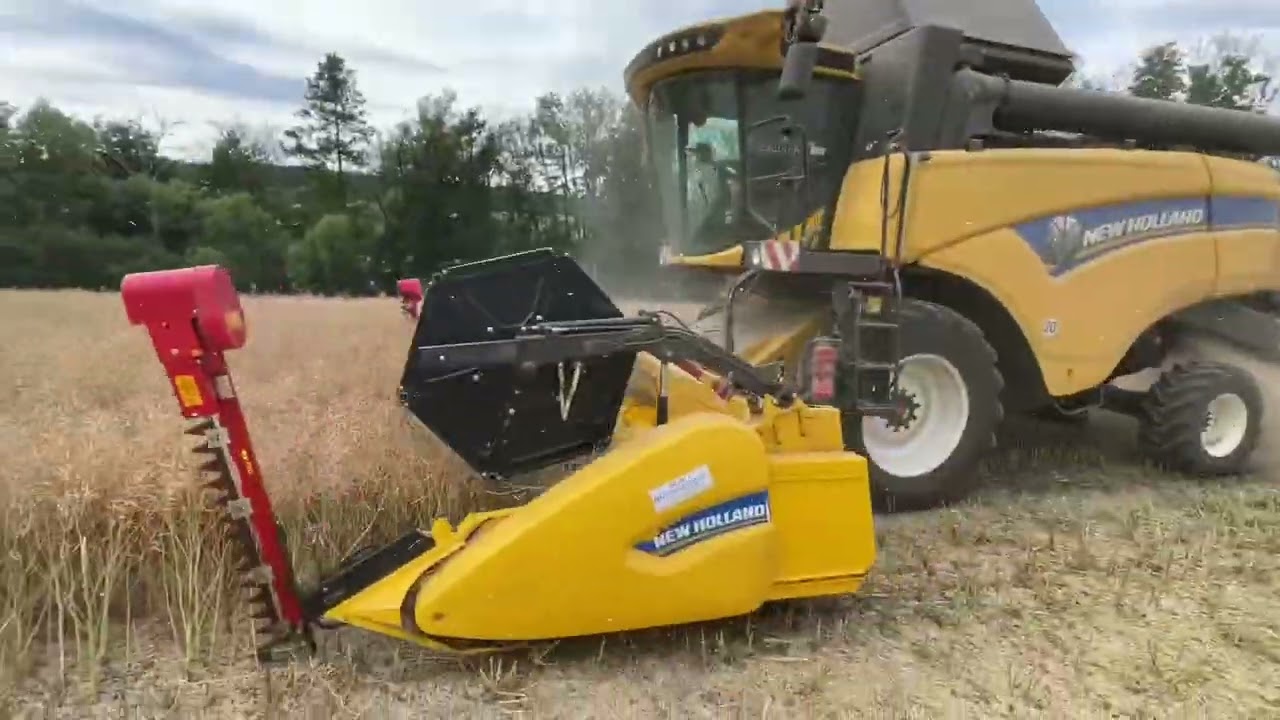 Ernte 2025 mit New Holland und Case IH 