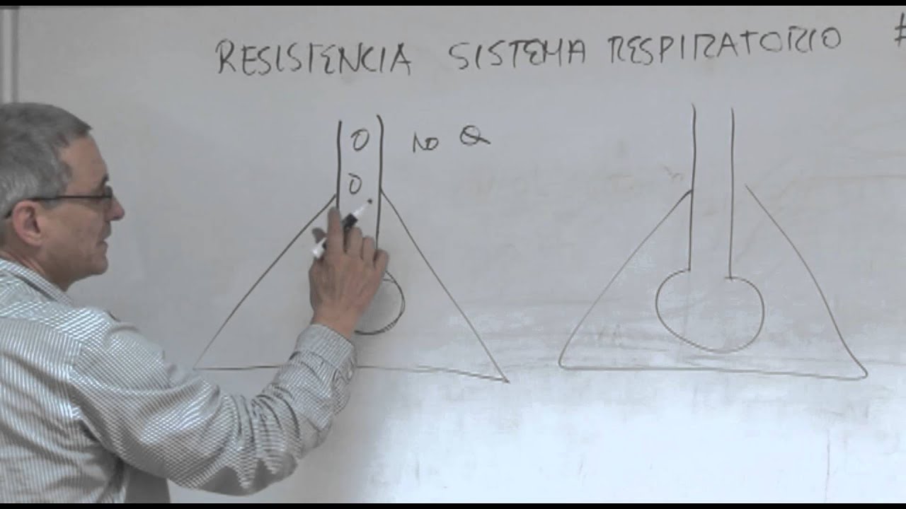Fisiología III - Resistencia Sistema Respiratorio 3
