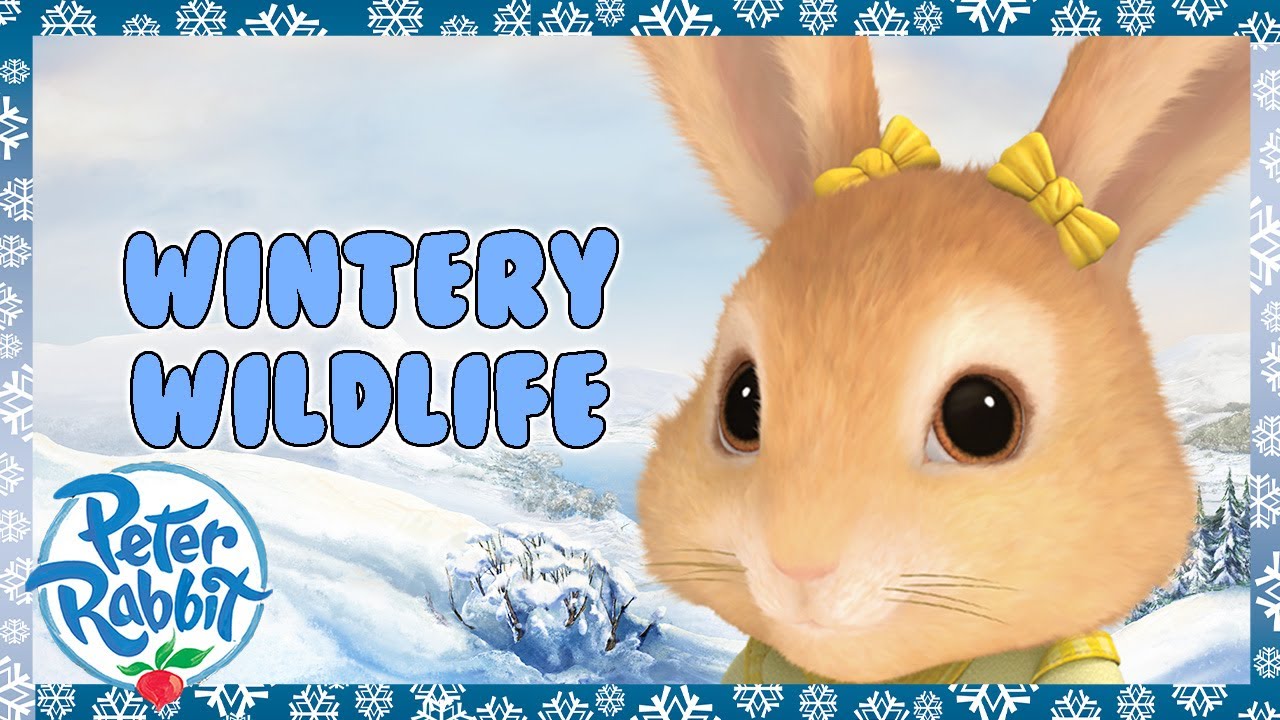 @OfficialPeterRabbit | 🌬️⛄️ Cottontail's Wintery Wildlife Tales ❄️🐰 | 20+ Mins | Cartoons For Kids