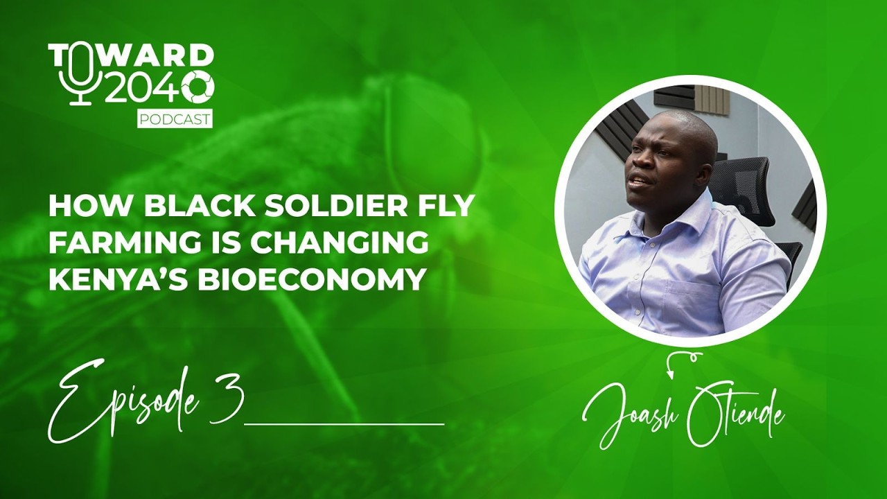 HOW BLACK SOLDIER FLY FARMING IS CHANGING KENYA’S BIOECONOMY - TOWARD 2040 EP 3