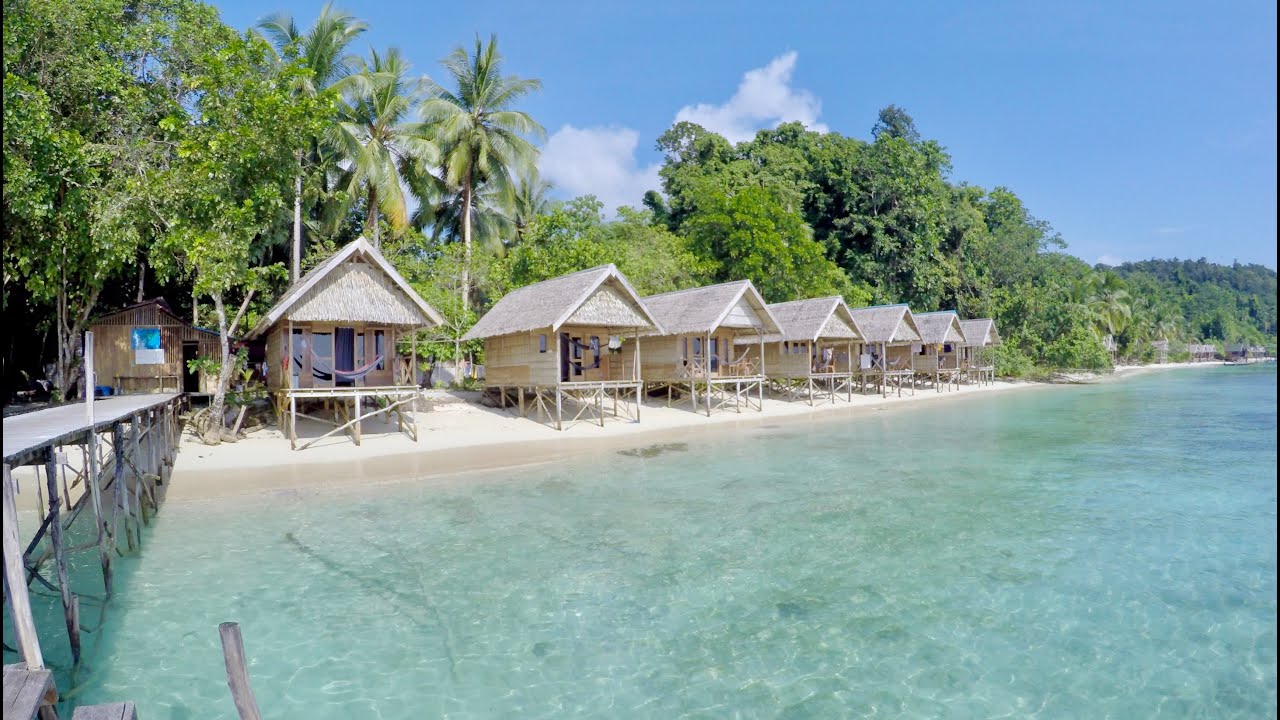 À Raja Ampat en Indonésie   4K