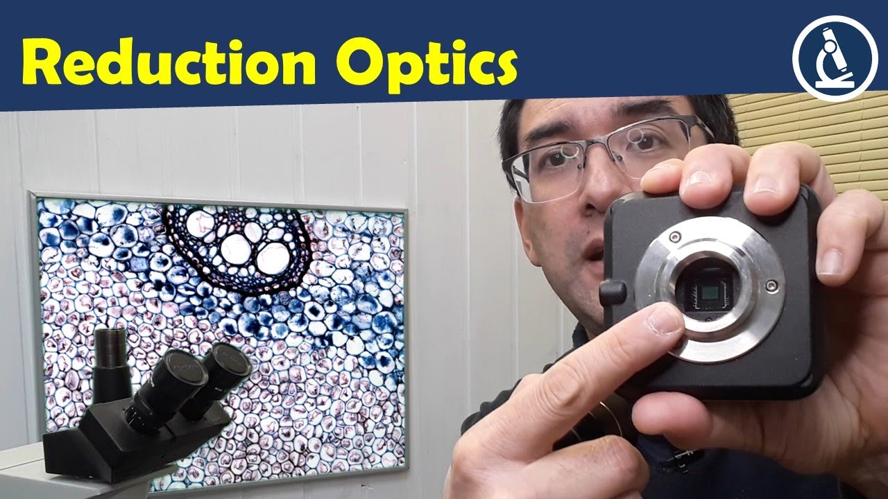 🔬 Why microscope cameras have separate optics connected | The two functions of reduction optics