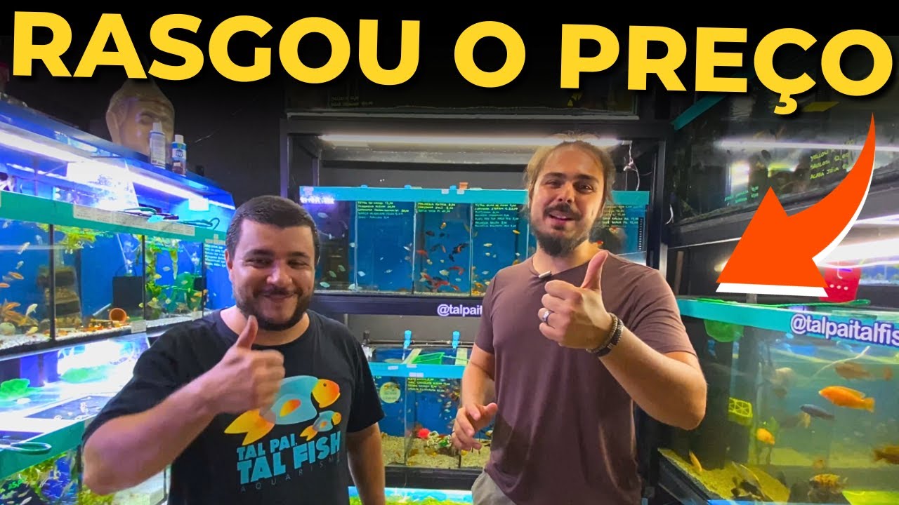 🔴VISITEI A LOJA TAL PAI TAL FISH + PROMO&Ccedil;&Atilde;O BLACK FRIDAY |Mr.Betta|