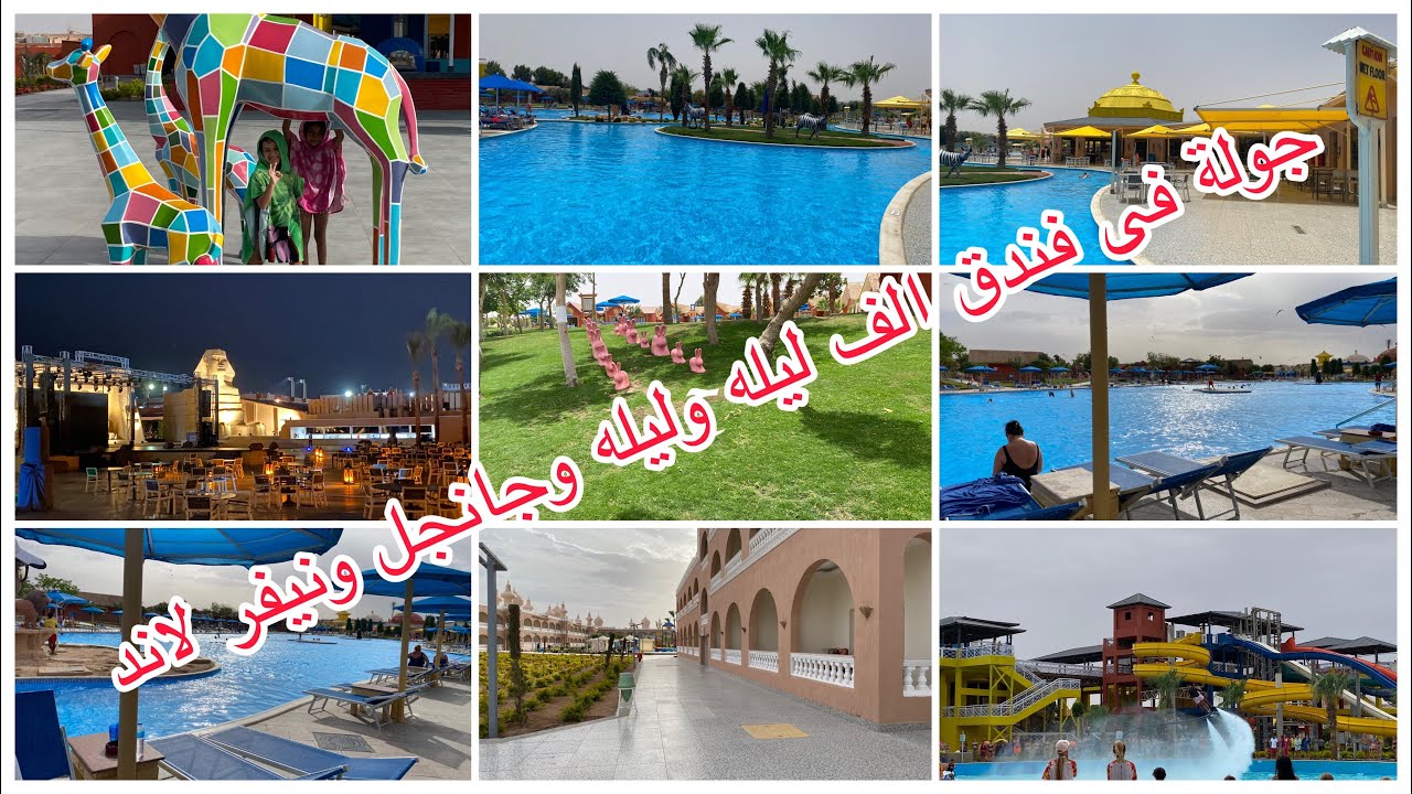 اتفاجئت  من اللى حصل فى فندق الف ليله وليله ⁉️⁉️‼️وكانت الصدمه فى فندق جانجل ونيفر لاند 😳⁉️⁉️⁉️