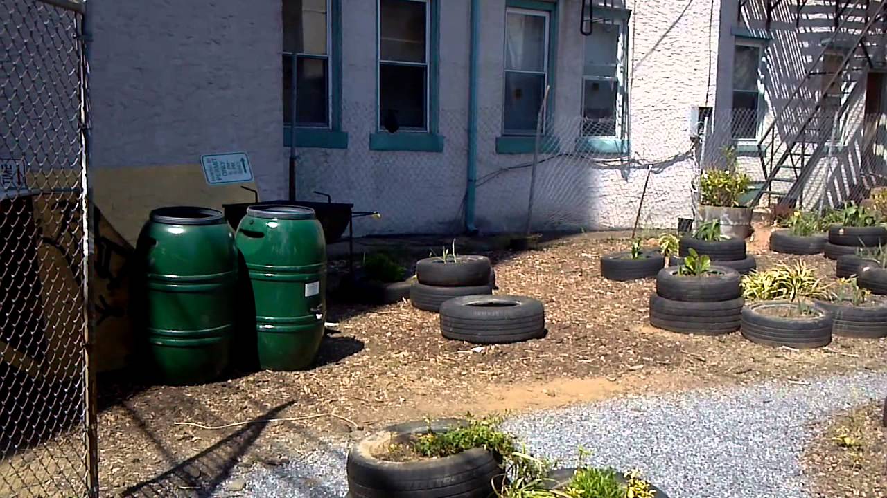 SAGE Coalition Gandhi Garden 1/4