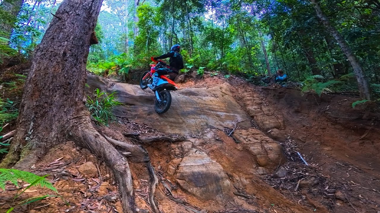 Cruising Through The Hard Tracks