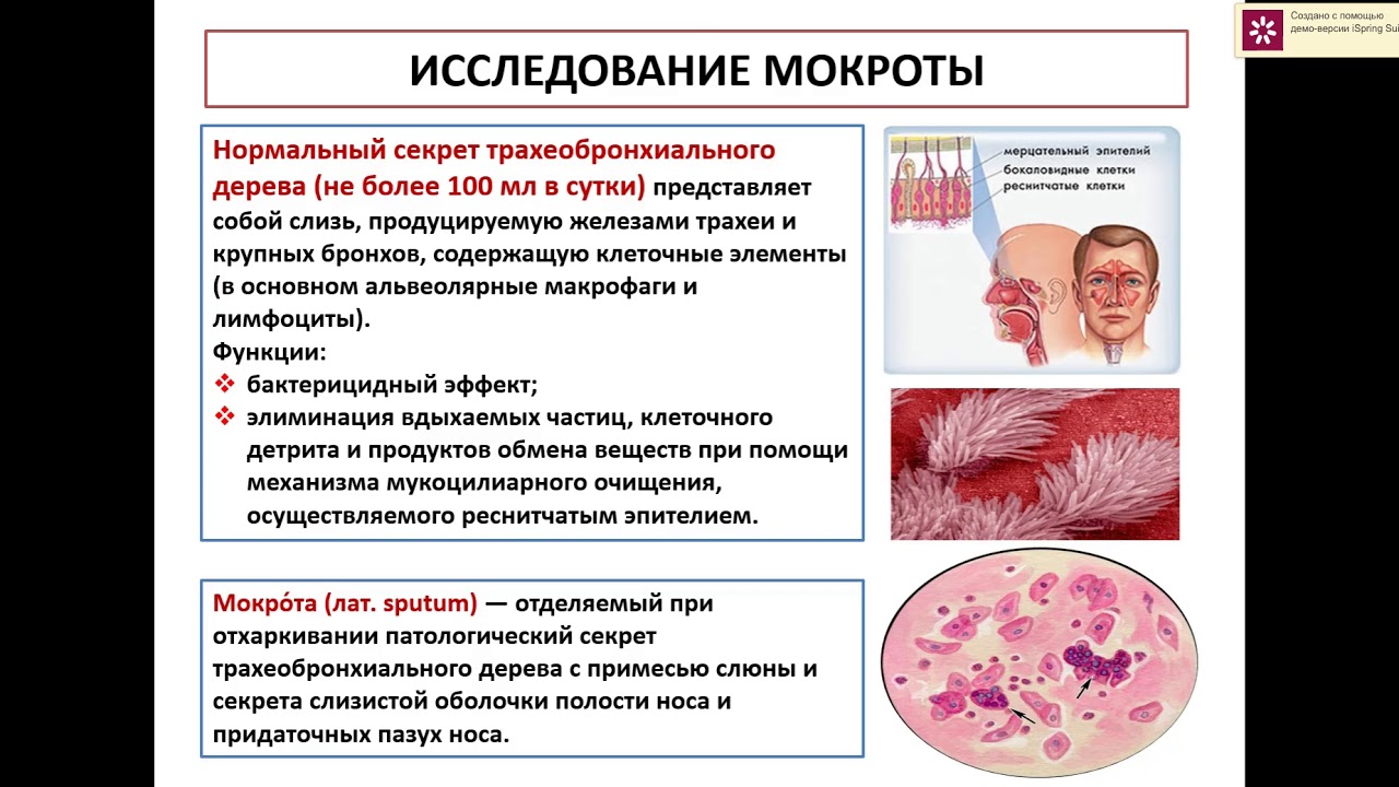 Правила сбора биологического материала для лабораторных исследований.