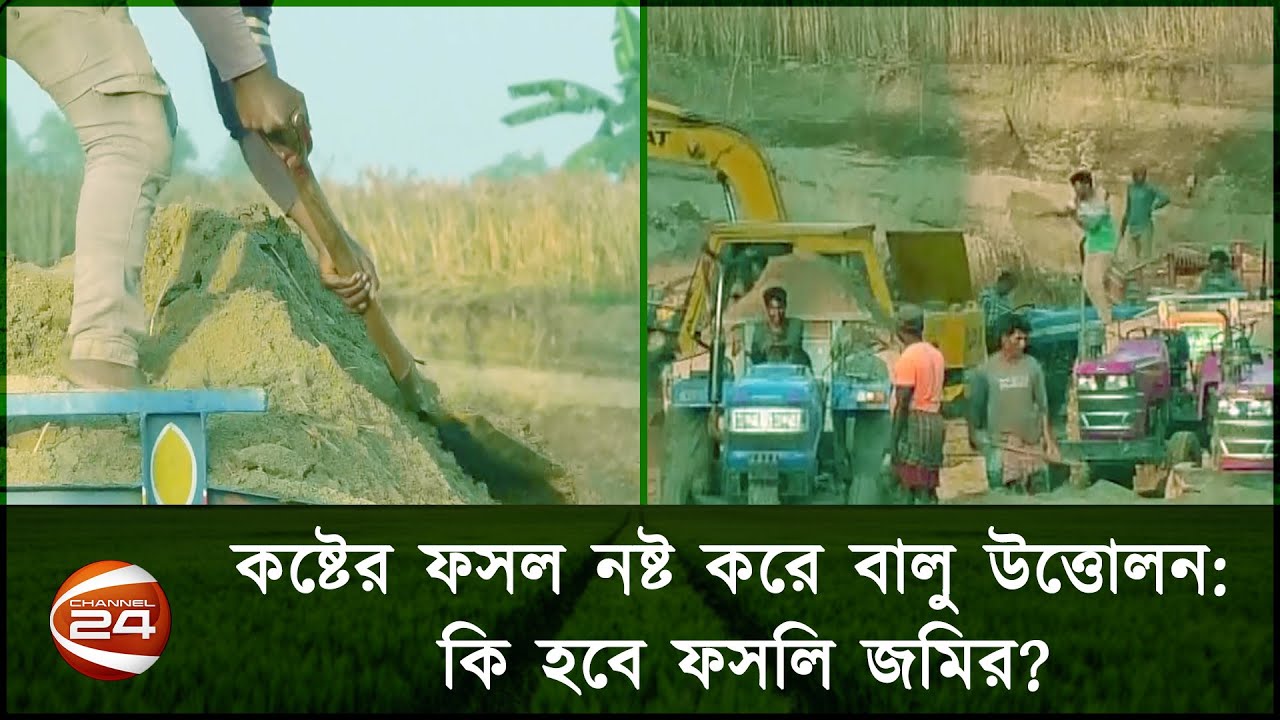 নওগাঁয় ফসলি জমি পরিণত হয়েছে বালু মহালে | Naogaon | Krishi 24 | Channel 24