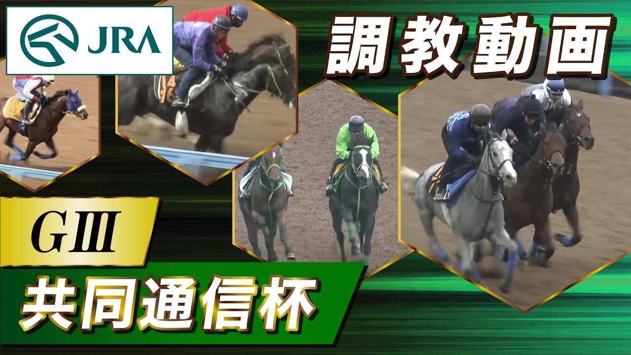 【調教動画】2026年 共同通信杯｜JRA公式