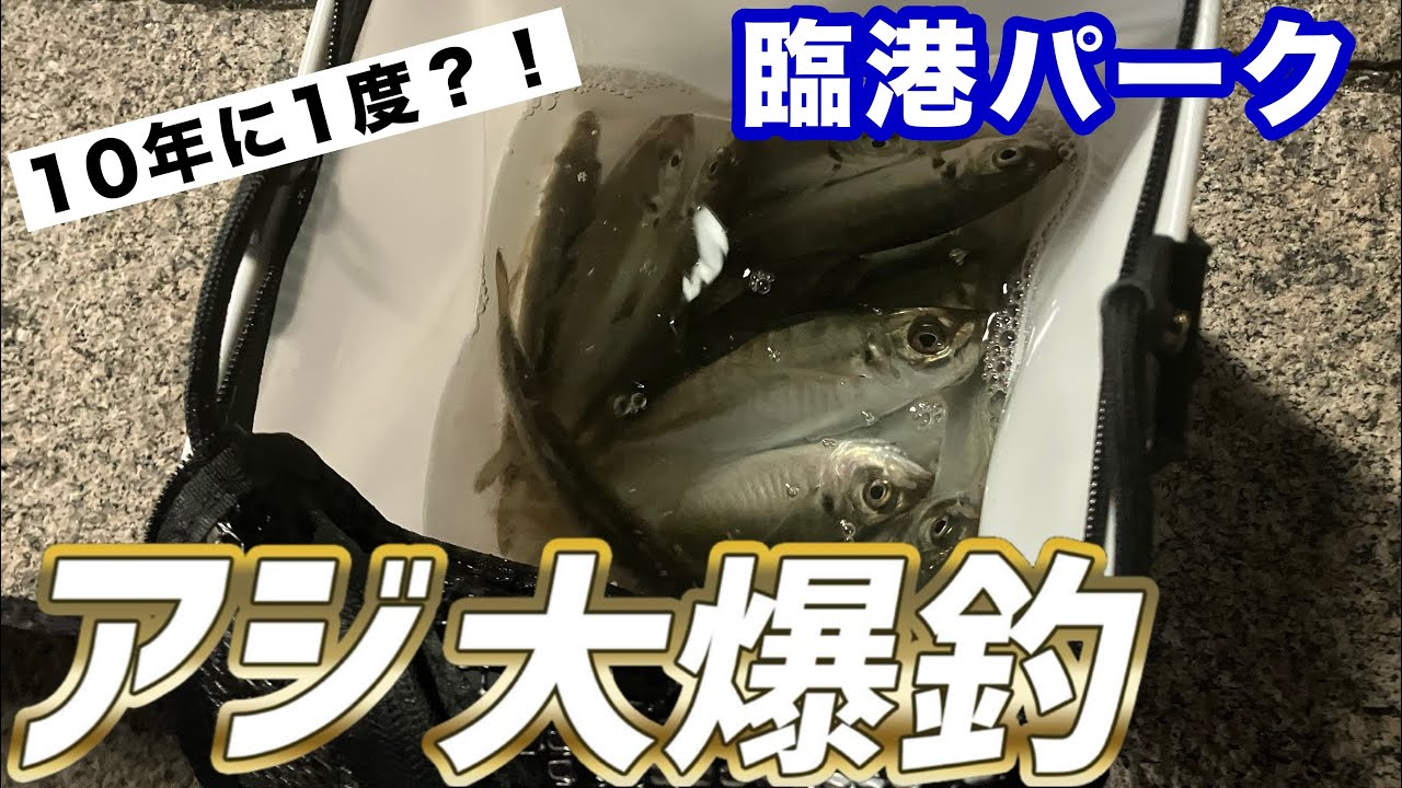 【臨港パーク】アジ爆釣？！磯竿でトリックサビキ釣り