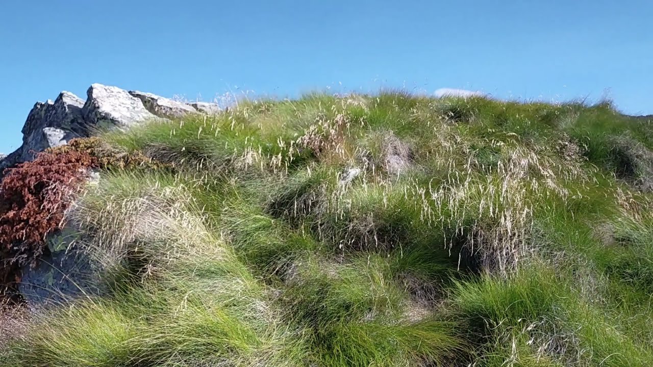 Ascensione al Monte Mortirolo (m. 2.374 s.l.m.) - Monno (BS)