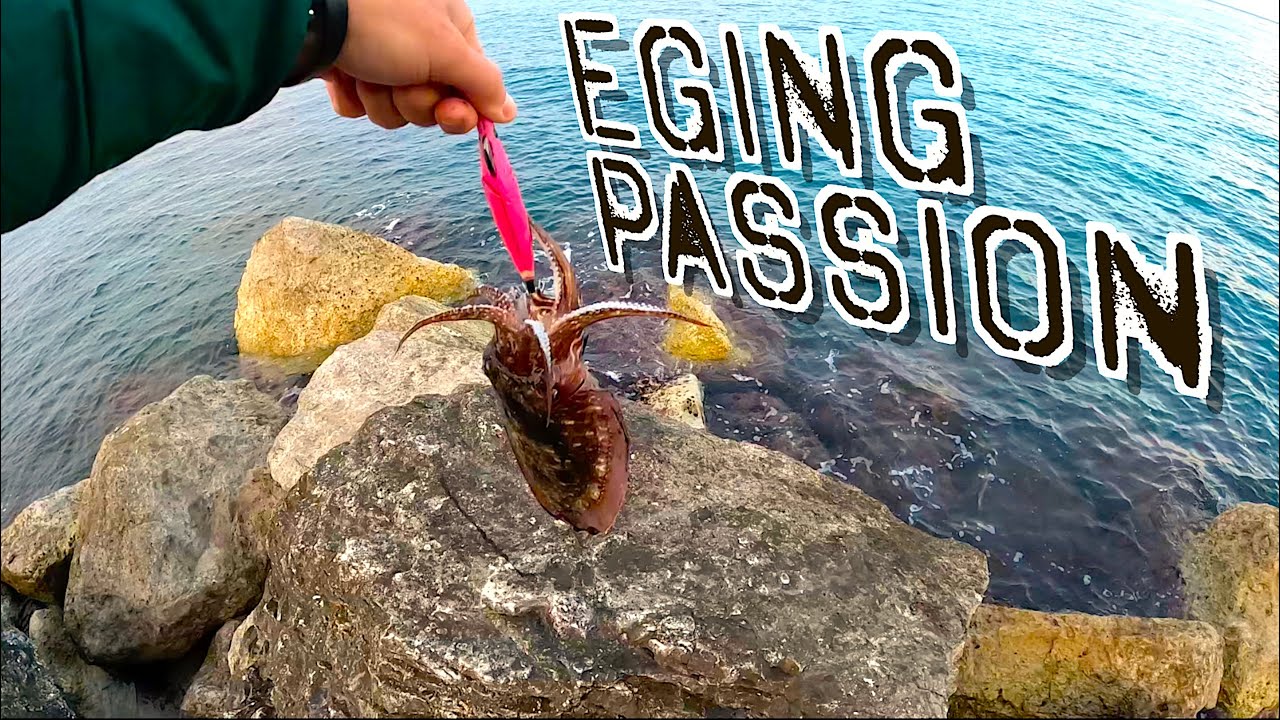 La Pesca alla Seppia mi Appassiona! Pesca da Riva a Primavera e in Autunno (Eging)