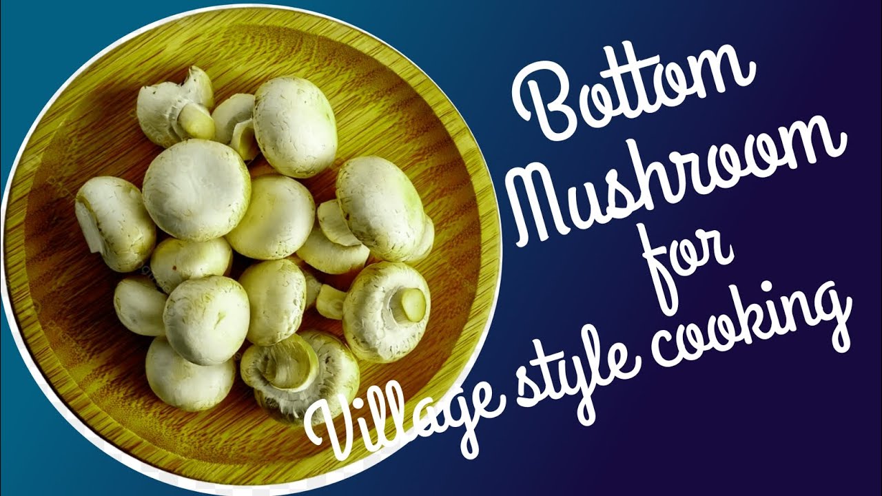 Gaon main mushroom kaise banaye🍄|Village style cooking 🔪|