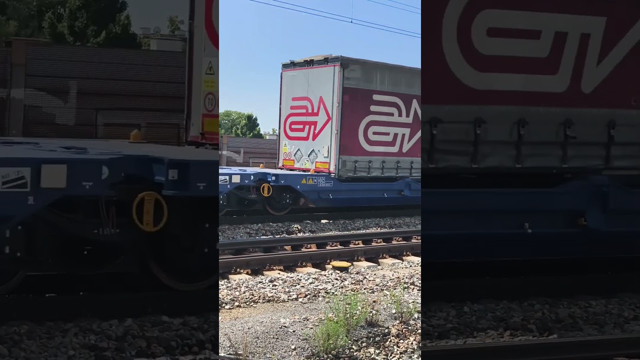 BUDAMAR GROUP 383 211 és ELL 193 256 arcese Kontenérvonatként át halad Wien Simmering állomason