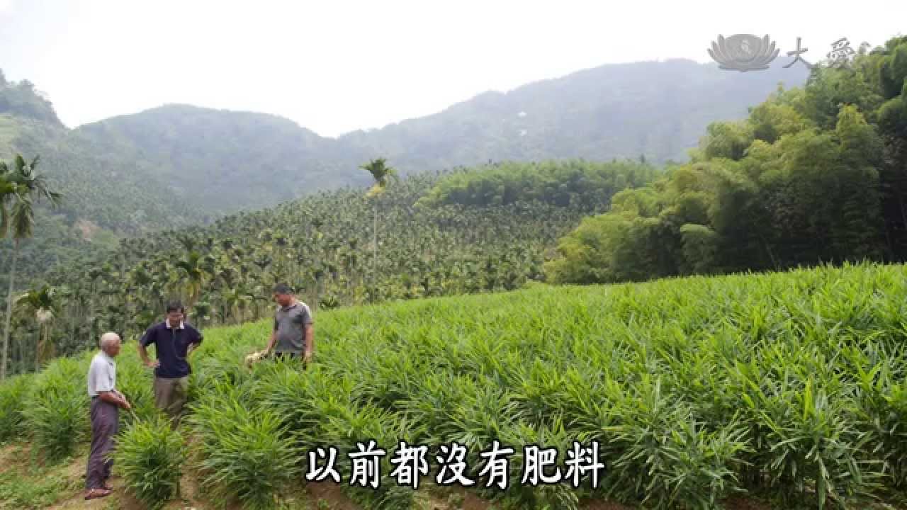 【農夫與他的田】20141020 - 中寮蕉農的故事