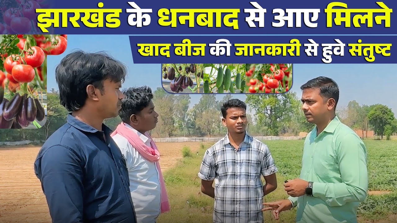 धनबाद से आए मिलने | बैंगन, टमाटर और तरबूज की खेती