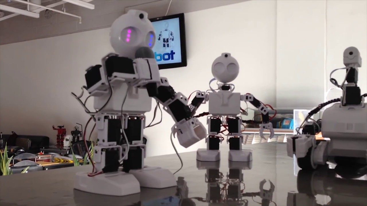 EZ Robot JD Humanoid