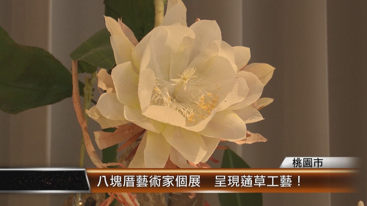 八塊厝藝術家個展  呈現蓪草工藝！│T-NEWS聯播網