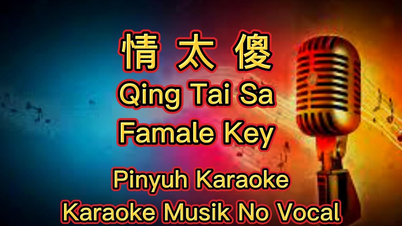Qing Tai  Sa ~ 情太傻 ~ Karaoke ~ Musik No Vocal
