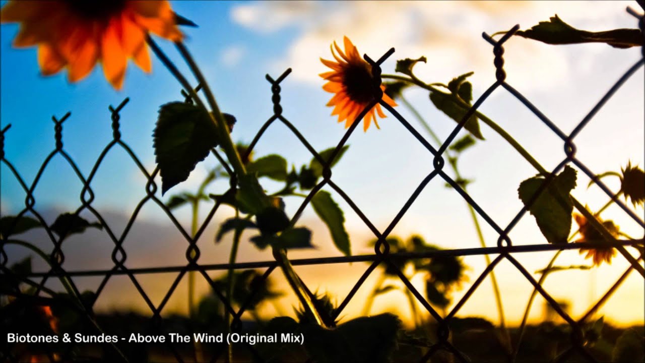 Biotones & Sundes - Above The Wind (Original Mix)