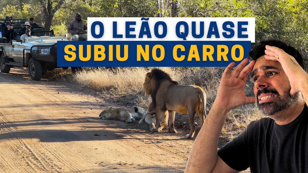 SAFÁRI na RESERVA KAPAMA - COMO é fazer um SAFÁRI de LUXO no KRUGER | ÁFRICA DO SUL