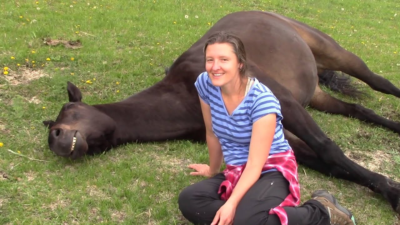 Horses and People Sharing and Healing at an Equinisity Retreat