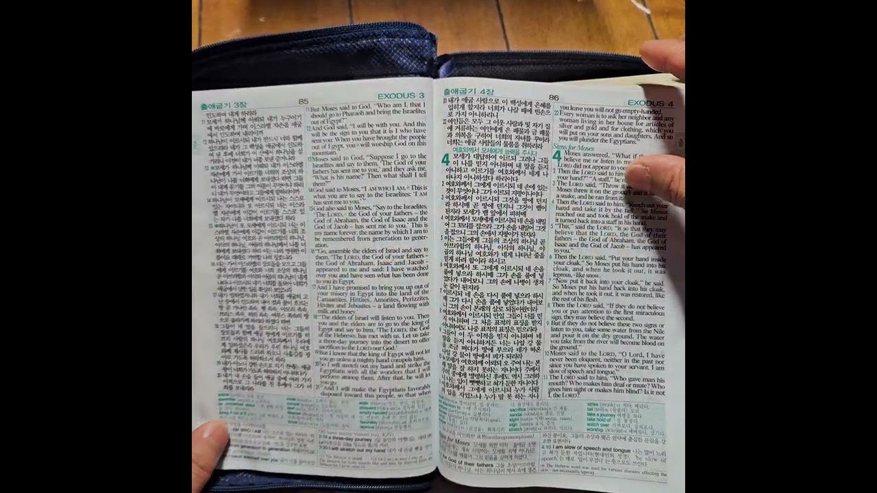 리딩지저스 성경통독 3주 1일차 - 출애굽기 1-6장