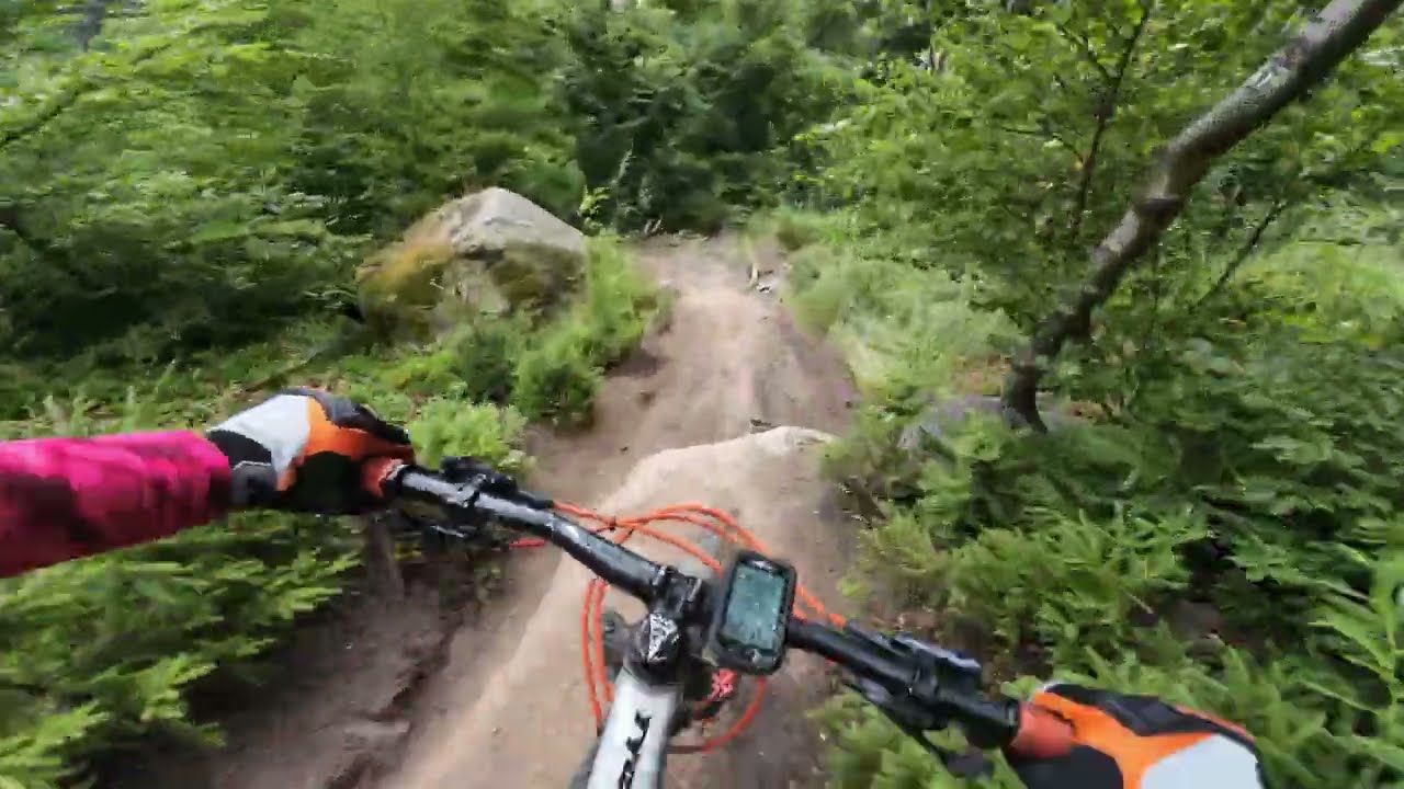 Jelena Extreme, apparently the fastest run this year 😂 | 6.07.2025 | Trailpark Plesivec