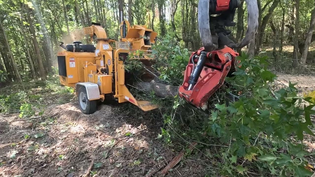 Bandit chipper just eats wood