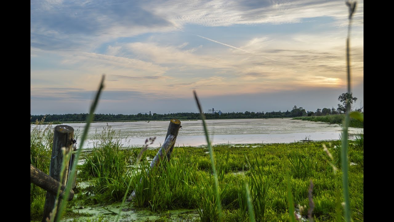 Duck Marsh for sale Wisconsin, 300 AC Recreational Property