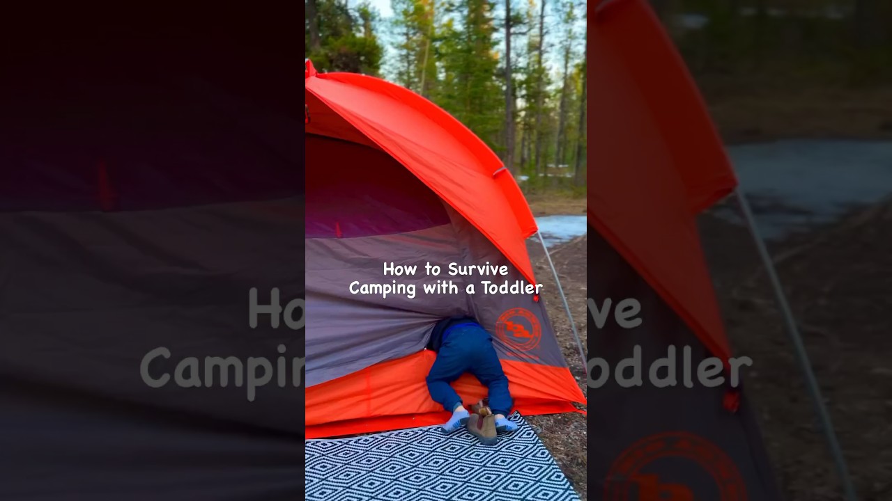 CAMPING WITH A TODDLER 🏕️ #adventurekid #hikingadventures #familyvlog #camping #campingtips