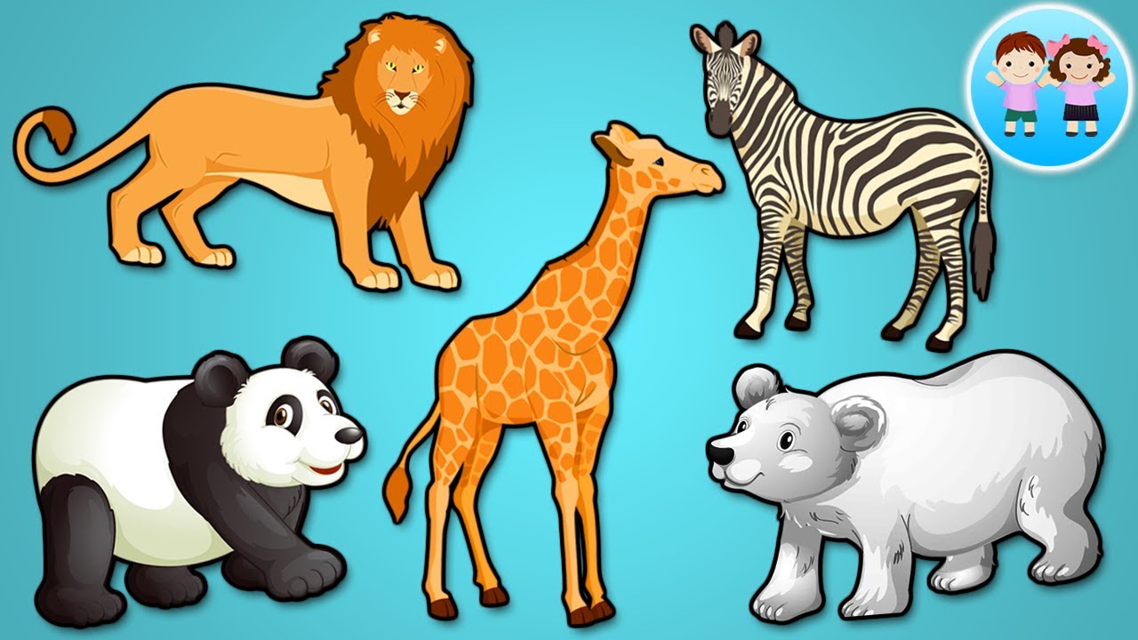 Animalele la Gradina Zoologica - Alege Silueta - Dreapta sau Stanga