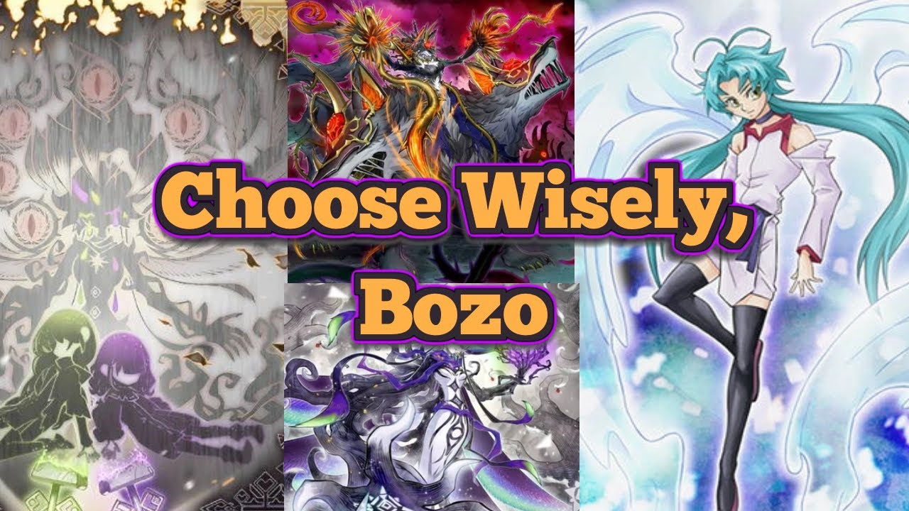 WF: How Rciela Search Choice Matters